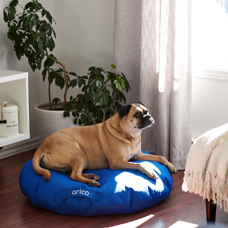Load image into Gallery viewer, Coussin pour chien ARICO de format mini avec chien. Couleur indigo. 
