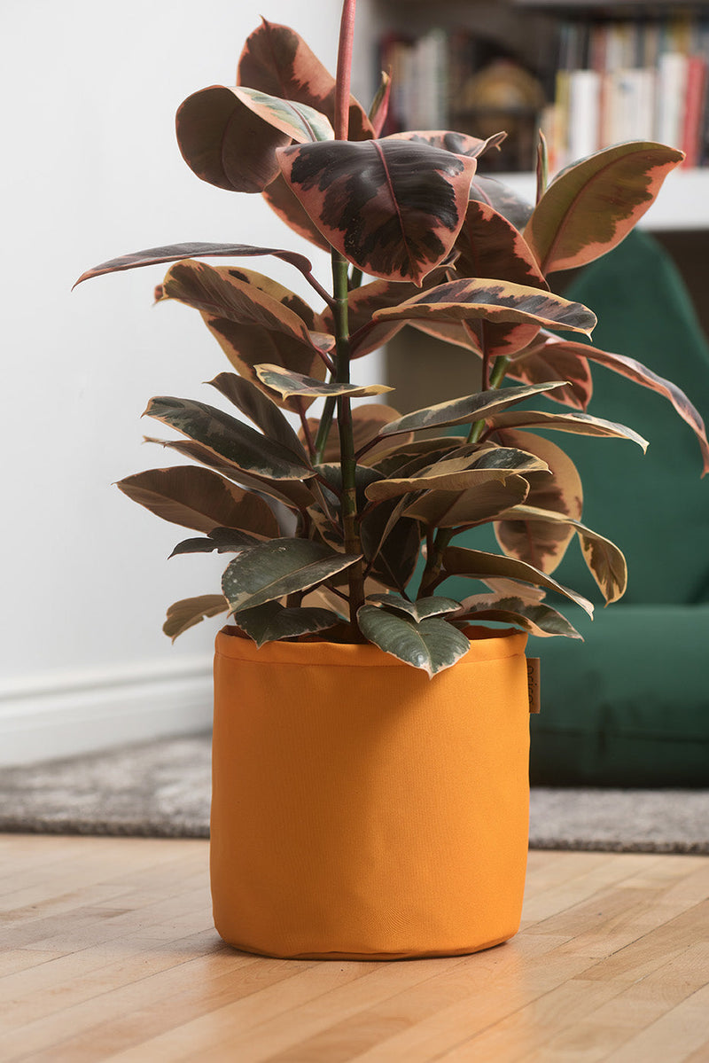 Cargue la imagen en el visor de la galería, Cache-pots de couleur clémentine grandeur de 10 pouces avec plante
