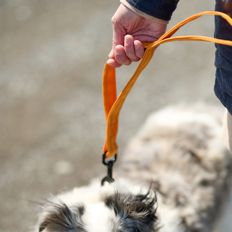 Load image into Gallery viewer, Dog leash 
