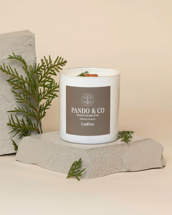 Candle - Conifers (450g)