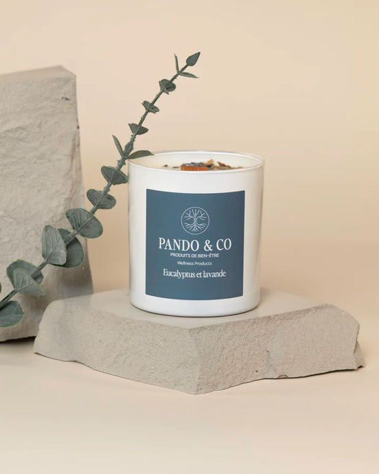 Candle - Eucalyptus and lavender (450g)
