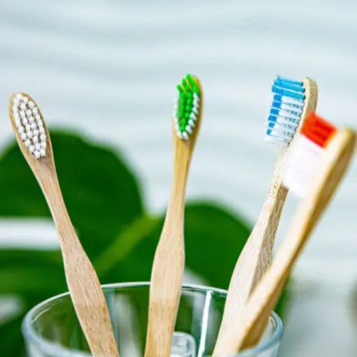 OLA Bamboo Paquet de 4 brosses à dents (MEDIUM)