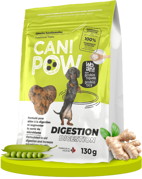 Canisource Cani Pow Tratamiento funcional para la digestión, 130 g