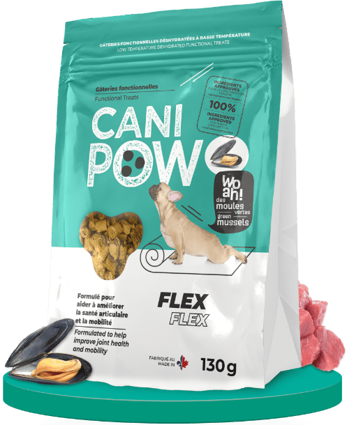 Canisource Cani Pow Flex Tratamiento funcional, 130 g